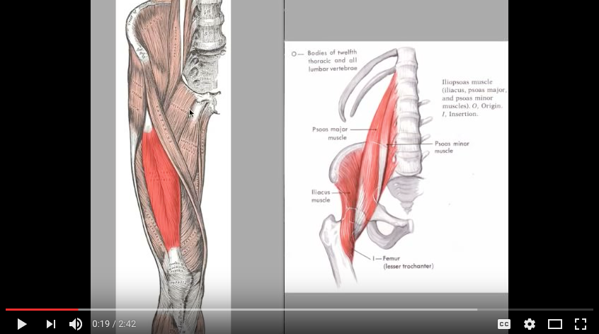 lumbar lordosis